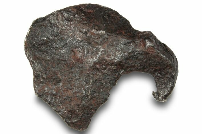 Canyon Diablo Iron Meteorite ( g) - Arizona #249949